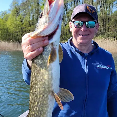 Dom Natura Сasa de vacaciones *