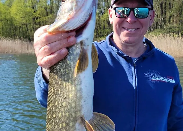 Dom Natura בית נופש *