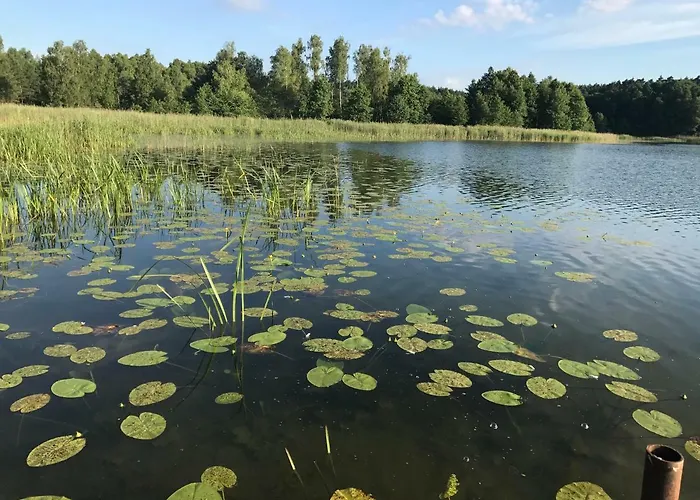 Сasa de vacaciones Dom Natura *